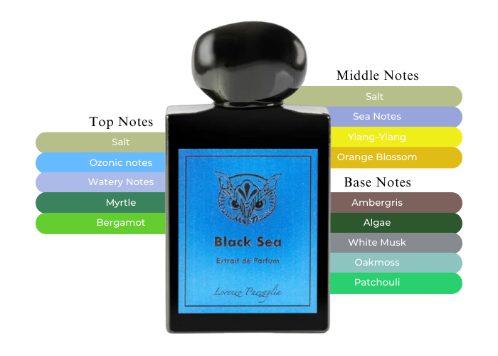 Lorenzo Pazzaglia - Schwarzes Meer